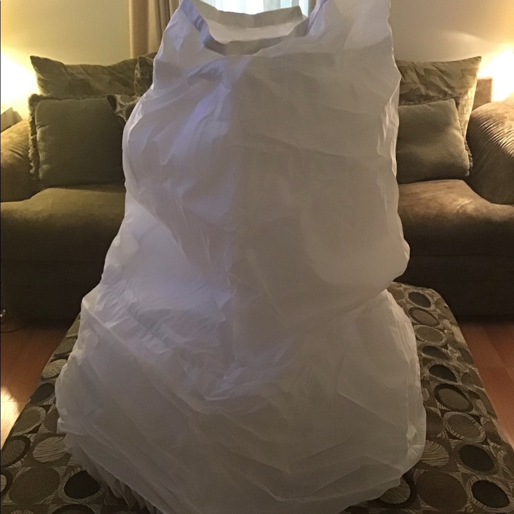 Hoop skirt